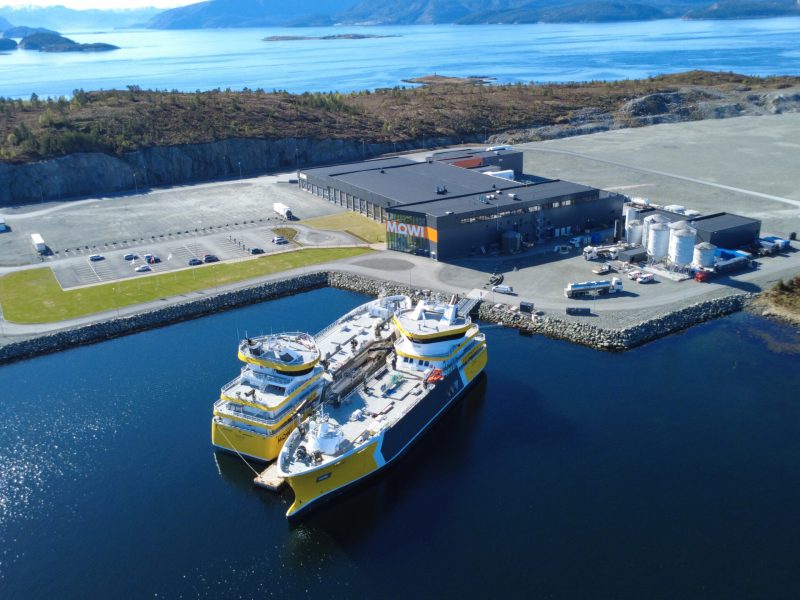 “Tautiki” and “Tauroa” at MOWI’s processing facility on Jøsnøya. Photo : Napier